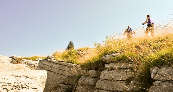 A TUTTA NATURA: TREKKING STORICI, LETTERARI E… TEATRO