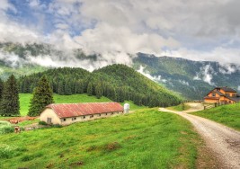 VIAGGIO NEL GUSTO