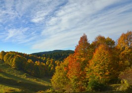 “ASIAGO FOLIAGE” PER VIVERE LA MAGIA DEI COLORI DELL’AUTUNNO