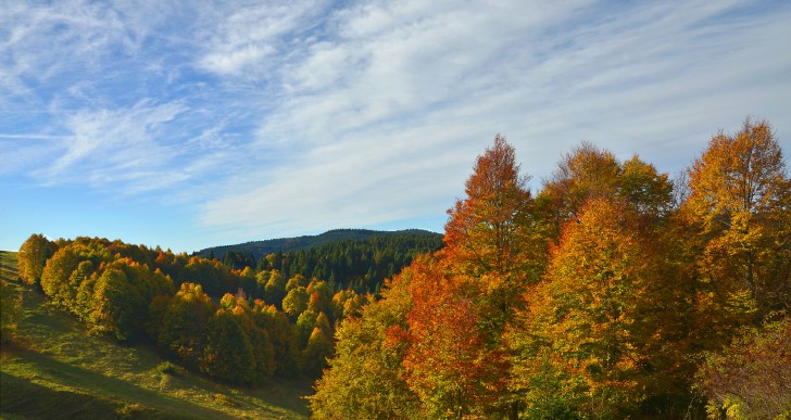“ASIAGO FOLIAGE” PER VIVERE LA MAGIA DEI COLORI DELL’AUTUNNO