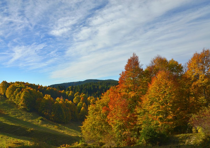 “ASIAGO FOLIAGE” PER VIVERE LA MAGIA DEI COLORI DELL’AUTUNNO